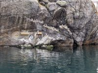 im UNESCO-geschützten Dorf Nusfjord