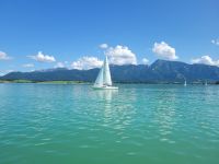 0409 Forggensee