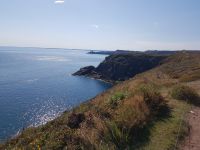 Cap Fréhel