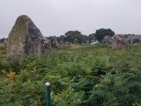 Carnac Steinreihen von Le Ménec