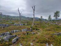 034-Finnmarkvidda