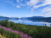 049-Balsfjord