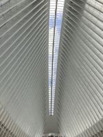Mitten im OCULUS - One World Trade Center - 1776 Fuß hoch…