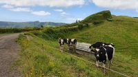 Wanderung Sete Cidades immer auf dem Kraterrand entlang