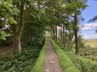 11. Reisetag – Von Edinburgh nach Dumfries – Wanderung am Hadrianswall