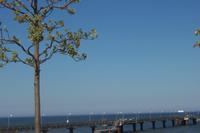 Seebrücke Göhren