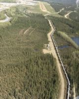 Gletscherflug Denali