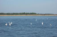 Schifffahrt nach Vitte