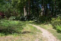 Gerhart Hauptmann Haus _Garten