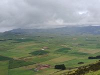 Flickenteppich Landwirtschaft 