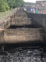 Pitlochry - Salmon Ladder