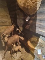 Zermatt - Matterhorn Museum 