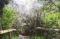 Wanderung zum Fischerort Vitt