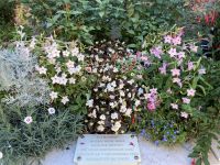 Grab von Claude Monet