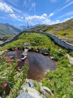 Grimselpass..jpg