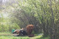 Wanderung zu den heiligen Felsen