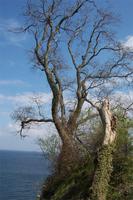 Wanderung zu den heiligen Felsen