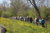 Wanderung zu den heiligen Felsen