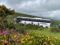 Malerischer Halteplatz