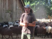  Schäfer in der Lüneburger Heide