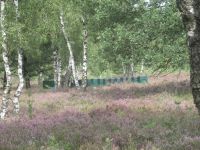  Bienenzucht in der Heide