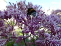 Tag 2 20.08.2023 Stadtführung in Troyes