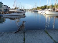 Tag 3 21.08.2023 Stadtführung in Vannes, Hafenbecken