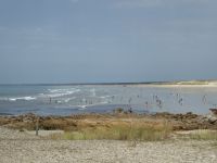 Tag 5 23.08.2023 Strandwanderung auf der Halbinsel Penmarch 