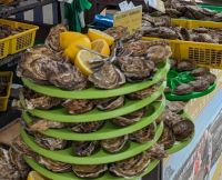 Tag 9 27.08.2023 Austernessen in Cancale