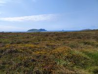 41-Dingle Peninsula Blasket Islands