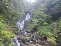66-Killarney Torc Falls