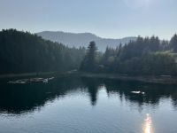 Bucht bei Bella Bella wo die Lachse springen