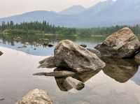 Oder vielleicht doch dieses Bild ?