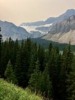 Crowfoot Glacier