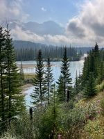 Das Bow Tal bei Banff