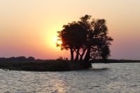 Bootsfahrt auf dem Chobe
