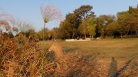 Thamalakane River Lodge