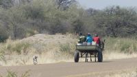 Wasser holen mit dem Kalahari-Ferrari