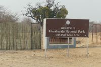 Pirschfahrt im Mahango Park