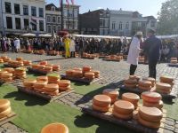 Die Käsehändler und Marktpersonal tragen traditionelle niederländische Trachten, Gouda NL