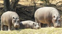 Namibia - Erlebnisse am Okavango 
