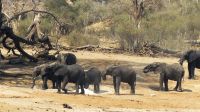 Namibia - Ndhovu Lodge am Okavango - Ausblick von der Terrasse