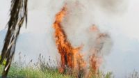 Botswana - Buschfeuer am Chobe