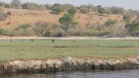 Botswana - Bootsfahrt auf dem Chobe