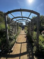 Seigneurie Garden auf Sark