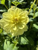 Seigneurie Garden auf Sark