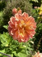 Seigneurie Garden auf Sark