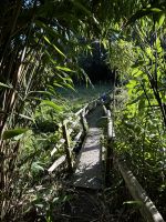 Wanderung auf den Green Lanes im inneren Jerseys