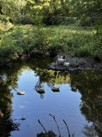 Wanderung auf den Green Lanes im inneren Jerseys