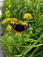 Wanderung auf den Green Lanes im inneren Jerseys